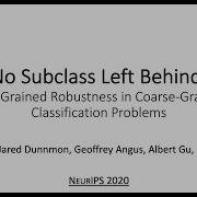 No Subclass Left Behind Fine Grained Robustness In Coarse Grained Classification NeurIPS 2020