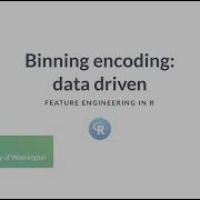 R Tutorial Binning Encoding Data Driven