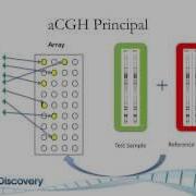 Basic Principles Of Array CGH
