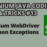 Selenium Java Coding Tips Tricks 13 Selenium WebDriver Common Exceptions