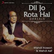 Dil Jo Rota Hai