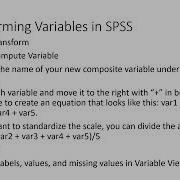 Recoding And Transforming Variables In SPSS Chapter 2 Lecture 3