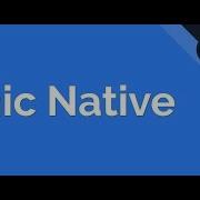 Installing Using Ionic Native Plugins