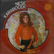 Neşe Karaböcek Aşkına Doyum Olmaz 1972