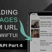 Loading And Caching Images From URL In SwiftUI AsyncImage Or Custom View Model Logic