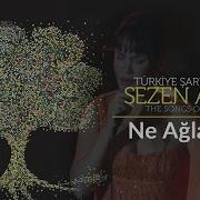Sezen Aksu Ne Ağlarsın Türkiye Şarkıları The Songs Of Turkey