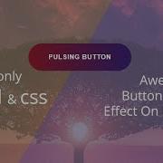 Awesome Button Pulse Effect On Hover Using Only HTML CSS Coding Tutorials