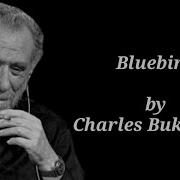 Bluebird By Charles Bukowski