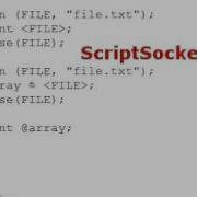 Perl Tutorial 26 Open Read Close A Text File