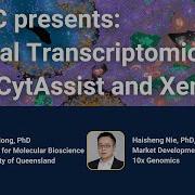 SAGC Spatial Transcriptomics With The CytAssist And Xenium Platforms