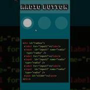Input Radio Button HTML CSS Css Html Radio Button