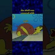 Patrick S House