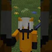 Bedrock Mace VS Java Mace Shorts