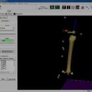 Visual3D Video Tutorial 6DoF Model Building Segment Coordinate System