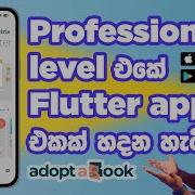 මග Flutter App එක හදප හ ට සහ Code එක Building A Professional Flutter App In Sinhala