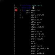 VIM For Programming With Autocompletion Syntax Check File Browser More