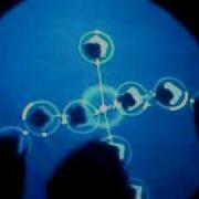 BJORK Using Reactable Mexico Sonofilia Loco