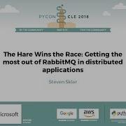 Стивен Склар Заяц побеждает в гонке извлекаем максимум из RabbitMQ в распределенных приложениях