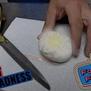 The Future Ball Python Egg Cutting