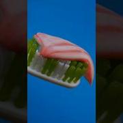 Putting Toothpaste On The Brush Close Up ASMR Macro Shorts Asmr Macro Closeup Experiment