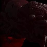 FL011 2019 011668 Elsa A Official Video