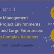 Resource Management In Multi Project Environments At SMEs And Large Enterprises