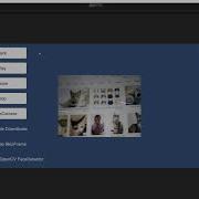 CatFaceTrackingFromWebcam