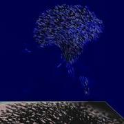 Flock Simulation On GPU