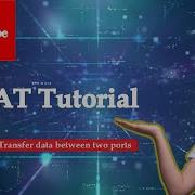 Socat Socket CAT Fundamentals Of Cybersecurity