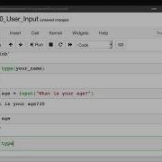 Python User Input