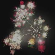 Linux Kernel Commit History Visualized With Gource