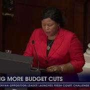 KZN Budget Speech KwaZulu Natal Facing More Budget Cuts