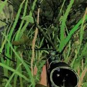 BLEED 360 COD2