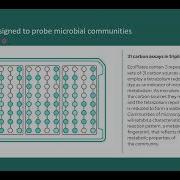 Studying Microbial Communities EcoPlate Use Cases And Community Analysis Features In Odin Software