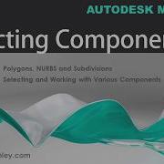 Maya 2018 Selecting Components Getting Started Lesson 3