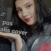 Sufle Pus Cover