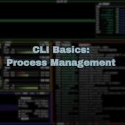 CLI Basics Process Management PS Kill Top And HTOP