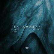 Telomeres Sleep Token Slowed Reverb