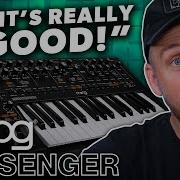 Moog Messenger аналоговый моно синтезатор нового поколения