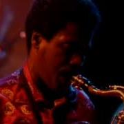 Weather Report Birdland Live Performance