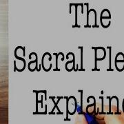 The Sacral Plexus Explained