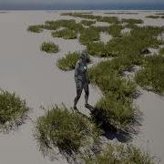 Unreal 5 Interactive Foliage Used Render Target