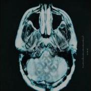 Breaking Benjamin Crawl Lyrics