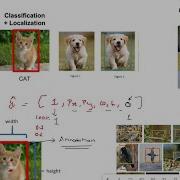 Object Localization Vs Object Detection Deep Learning