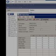 Creating Sales Order In Matrix View