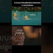 A Funny Visualization Between C And Python Coding Memes Shorts Funny LearnComputerWithRCS