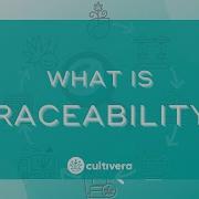 What Is Traceability An Introduction