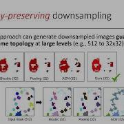 Topology Preserving Downsampling Of Binary Images