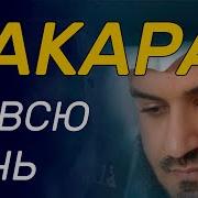 Сура Аль Бакара на всю ночь очень красивое приятное чтение корана
