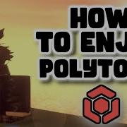 How To Make The Most Of Polytoria